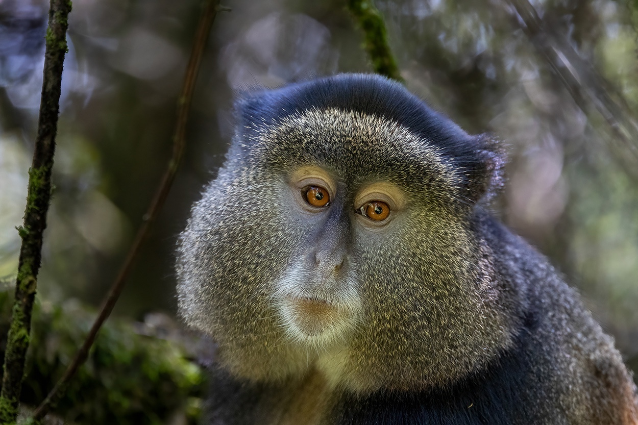 Fotograferen Afrika en India reizen