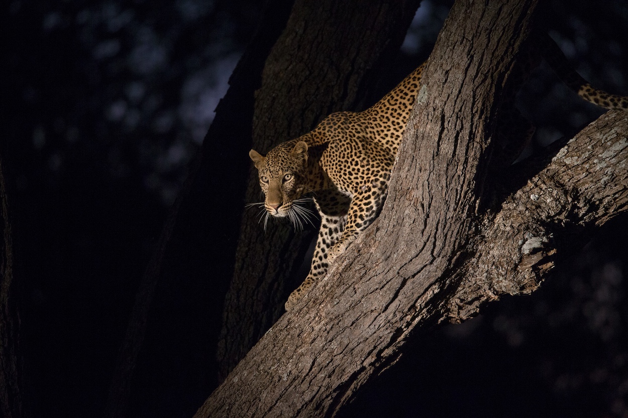 Natuurfotografie reizen workshop